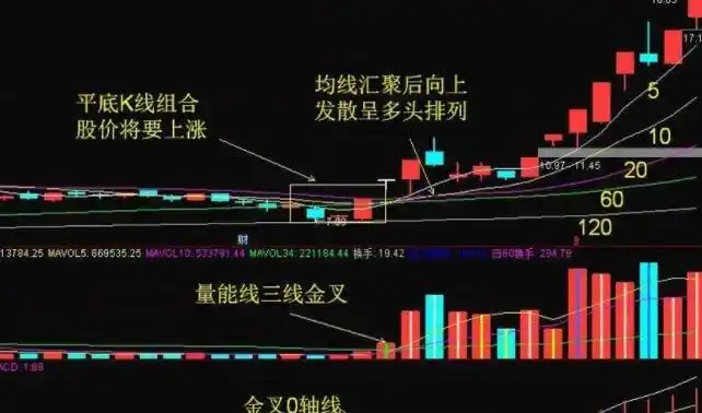 
网配查专业炒股配资网：助力投资者实现财富增值的得力助手