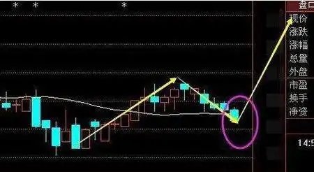 
刚速查在线配资门户：开启金融投资新纪元